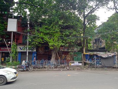 Image of 3456 Sq.ft 10 BHK Independent House for sale in Kalighat, Kolkata for Rs. 65000000