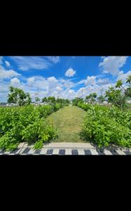 Image of 600 Sq.ft Residential Plot / Land for sale in Solsinda, Indore for Rs. 2220000