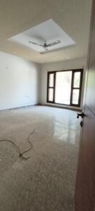 Hall Image of 6000 Sq.ft 7 BHK Independent House for rent in Sector 52 Noida for Rs. 250000