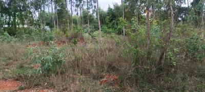 Image of 35000 Sq.ft Residential Plot / Land for sale in Chikkanahalli Village, Bengaluru for Rs. 52000000