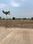 Kubhephal Main Image 1