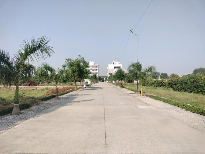 Soha Neal City Main Image 1