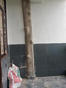 Bedroom Three Image of 1300 Sq.ft 3 BHK Apartment / Flat for sale in Skyline Dev Infra, Sector 49 Noida for Rs. 6200000