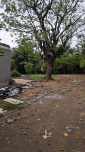 Image of 1355 Sq.ft Residential Plot / Land for sale in Bodakdev, Ahmedabad for Rs. 267000000