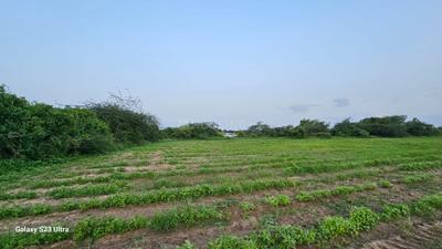 Image of 10000 Sq.ft Residential Plot / Land for sale in Becharaji, Mehsana for Rs. 5000000
