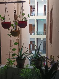 Image of 854 Sq.ft 2 BHK Apartment / Flat for sale in Palm Sunrise Homes, Bamheta, Ghaziabad for Rs. 3600000
