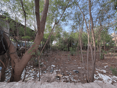 Image of 9001 Sq.ft Residential Plot / Land for sale in Sector 109, Gurgaon for Rs. 100000000