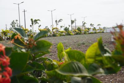 Image of 1079 Sq.ft Residential Plot / Land for sale in Kodies Paradise Avenue, Sulur, Coimbatore for Rs. 2661893