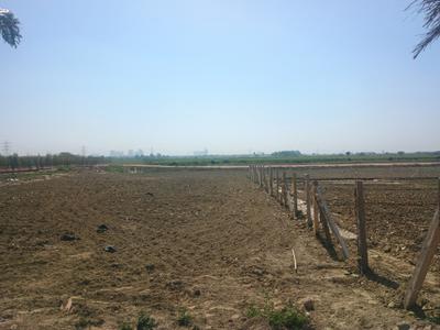 Veda Farm Plot View 3
