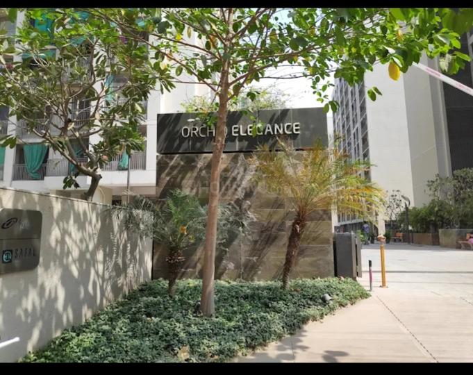 Orchid Elegance Main Image 1