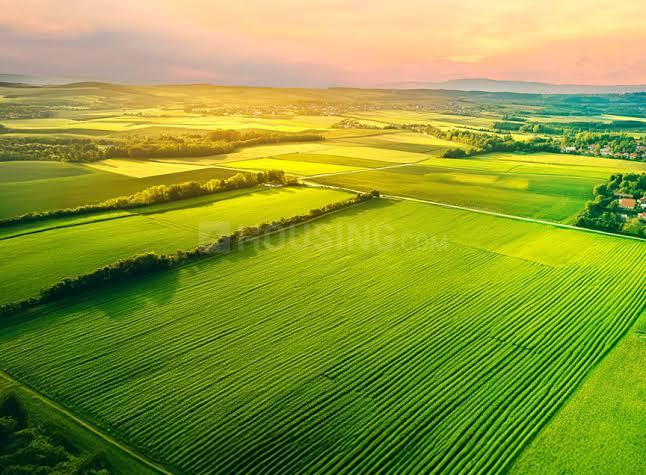 Mirrikh Residential Plot In Dholera Smart City Main Image 1