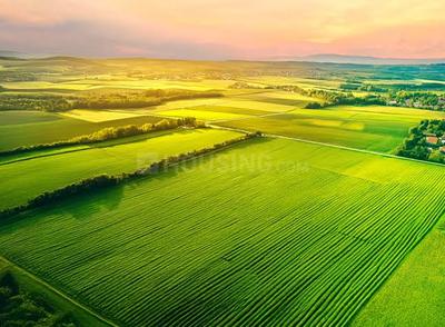 Image of 405 Sq.ft Residential Plot / Land for sale in Arvind Everland, Mankol, Ahmedabad for Rs. 3500000