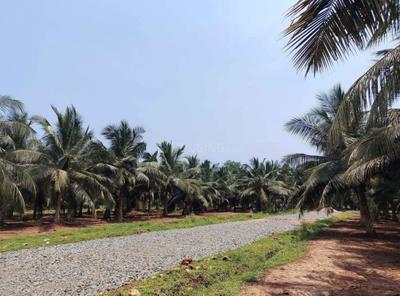 Image of 200 Sq.ft Residential Plot / Land for sale in Pusapatirega, Vizianagaram for Rs. 2500000