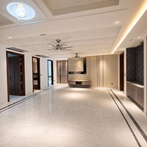Hall Image of 4500 Sq.ft 5 BHK Builder Floor for sale in DLF Phase 3 Gurgaon for Rs. 69000000