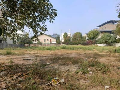 Block C Plot View 2