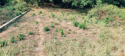 Image of 2041 Sq.ft Residential Plot / Land for sale in Khagaul, Patna for Rs. 6400000