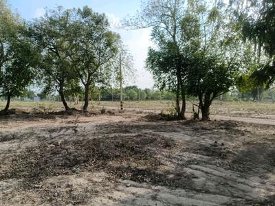 Residential Plot