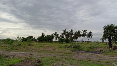Image of 10900 Sq.ft Residential Plot / Land for sale in Tirumangalam, Madurai for Rs. 500000