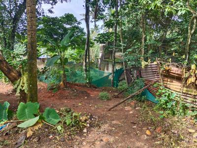 Image of 1500 Sq.ft 1 BHK Independent House for sale in Arangamugal, Thiruvananthapuram for Rs. 6600000