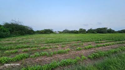 Image of 10000 Sq.ft Residential Plot / Land for sale in Becharaji, Mehsana for Rs. 5000000