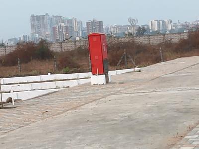 Oasis 36 Plot View 2