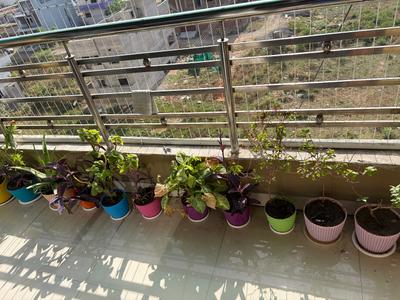 Balcony Image of 1300 Sq.ft 3 BHK Apartment / Flat for rent in Besa Nagpur for Rs. 16000