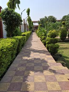 Image of 100 Sq.ft Residential Plot / Land for sale in Ganeshpur, Dehradun for Rs. 890000