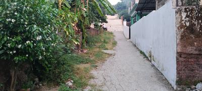 Image of 1800 Sq.ft 3 BHK Independent House for sale in Malsi, Dehradun for Rs. 7000000