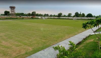 Plot View
