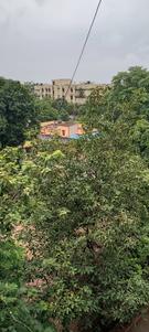 Image of 1400 Sq.ft 2 BHK Apartment / Flat for rent in Samarvarni, Silvassa for Rs. 15000
