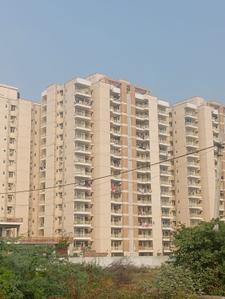 Image of 750 Sq.ft 3 BHK Apartment / Flat for rent in Terra Lavinium, Sector 75, Faridabad for Rs. 18000