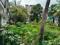 nill Main Image 1