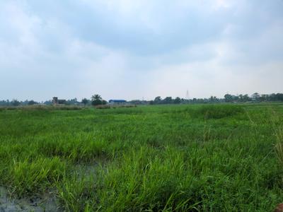 Wander Valley Plot View 2