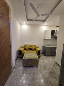 Hall Image of 555 Sq.ft 1 BHK Builder Floor for rent in South City Floors 1, Sector 41 Gurgaon for Rs. 33000