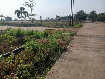 Image of 1000 Sq.ft Residential Plot / Land for sale in Pacheda 1, Raipur for Rs. 1200000