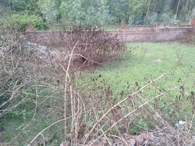 Image of 2448 Sq.ft Residential Plot / Land for sale in Jain Colony, Hoshiarpur for Rs. 2400000