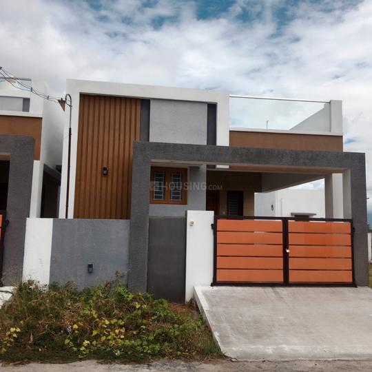 Karamadai Main Image 1