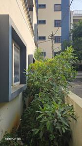 Image of 3000 Sq.ft 2 BHK Apartment / Flat for rent in BGS Layout, Amrutahalli, Bengaluru for Rs. 75000