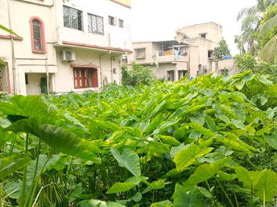 Passage Image of 1621 Sq.ft Residential Plot / Land for sale in Maheshtala Kolkata for Rs. 4000000