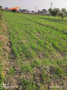 Image of 15525 Sq.ft Residential Plot / Land for sale in Kursauli, Kanpur for Rs. 3800000