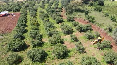 Image of 10890 Sq.ft Residential Plot / Land for sale in Anekal, Bengaluru for Rs. 9000000
