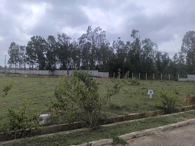 Image of 1800 Sq.ft Residential Plot / Land for sale in Hoskote, Bengaluru for Rs. 5130000