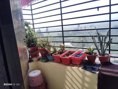 Balcony Image of 1225 Sq.ft 2 BHK Apartment / Flat for sale in Morampudi Rajahmundry for Rs. 4100000