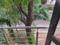 Balcony Image of Maruti Nandan Pg Boys/Girls in Alpha I, Greater Noida