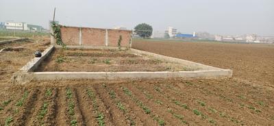 Image of 1200 Sq.ft Residential Plot / Land for sale in Ranipur, Patna for Rs. 5200000