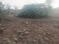 Kondurg Plot View 2
