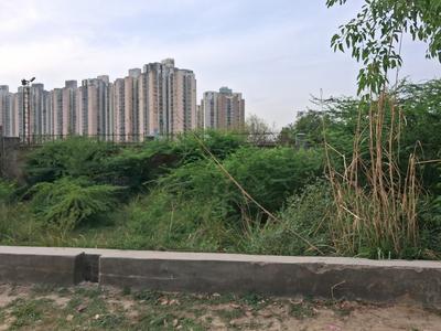 Sector 151 Plot View 2