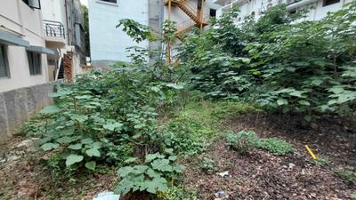 Image of 2640 Sq.ft Residential Plot / Land for sale in Armane Nagar, Bengaluru for Rs. 105000000