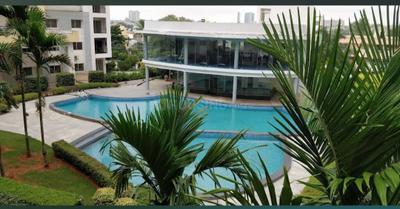 Image of 1620 Sq.ft 3 BHK Apartment / Flat for rent in Skyline Beverly Park, Amrutahalli, Bengaluru for Rs. 55000