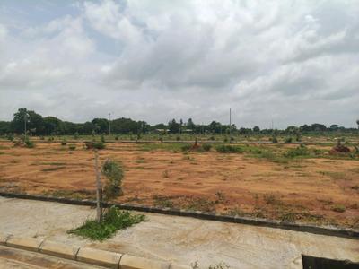 IDA Plot View 2